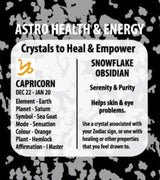 Zodiac Pendant - Snowflake Capricorn (Set of 6)